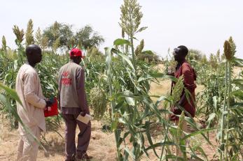 Nigerian men in agricultural setting.